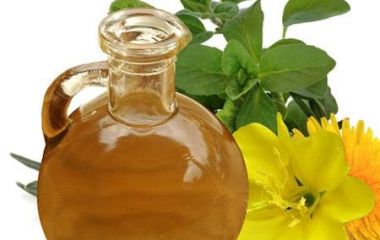 Масло примулы вечерней: свойства, польза, вред Масло примулы вечерней: свойства, польза, вред