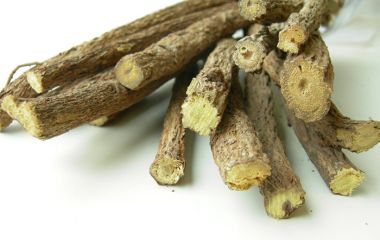 Полезные свойства корня солодки: лечение и профилактика заболеваний, повседневное использование Полезные свойства корня солодки: лечение и профилактика заболеваний, повседневное использование